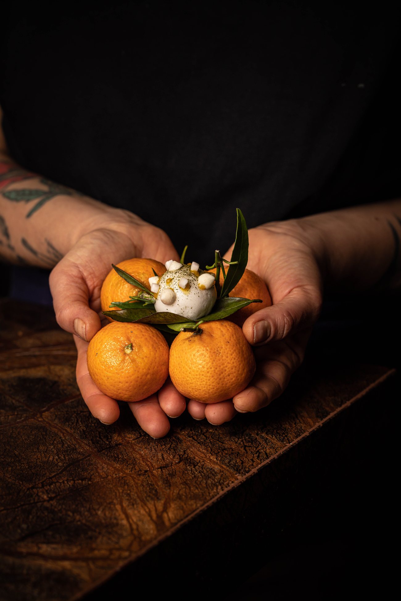 Des clémentines cueillies avec leurs feuilles, dans les mains d'un cuisinier de Substance